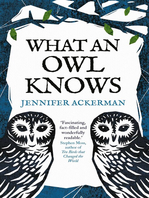 Cover image for What an Owl Knows
